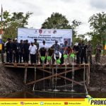 budidaya ikan patin di kobar