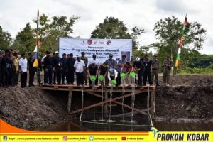 Budidaya Perikanan, Pendapatan Alternatif bagi Petani Sawit