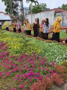 Eksotisme Bunga Tapak Dara dan Krokot Percantik Kota Manis Pangkalan Bun bunga tapak dara di pangkalan bun