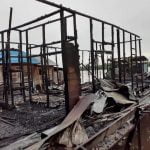 kebakaran pulau petak kapuas