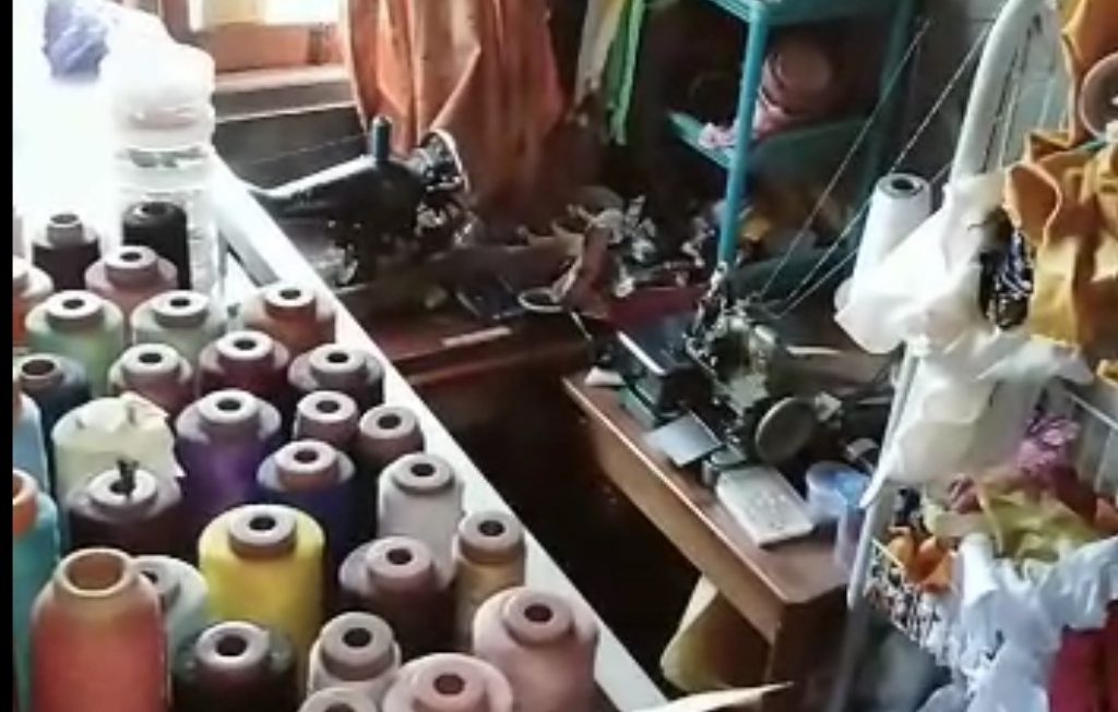 Ular King Kobra Teror Palangka Raya