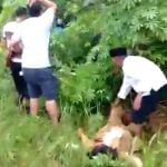 korban lakalantas di cempaga hulu