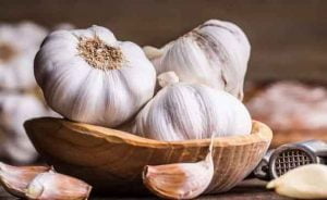 Kalteng Kekurangan Bawang Putih 5 Ribu Ton/Tahun