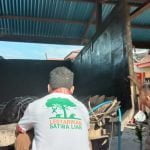 Warga Pangkalan Banteng Tangkap Buaya 5 Meter