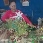 penjual obat tradisional dayak