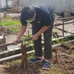 Bangun Ketahanan Pangan Keluarga di Tengah Wabah Covid-19