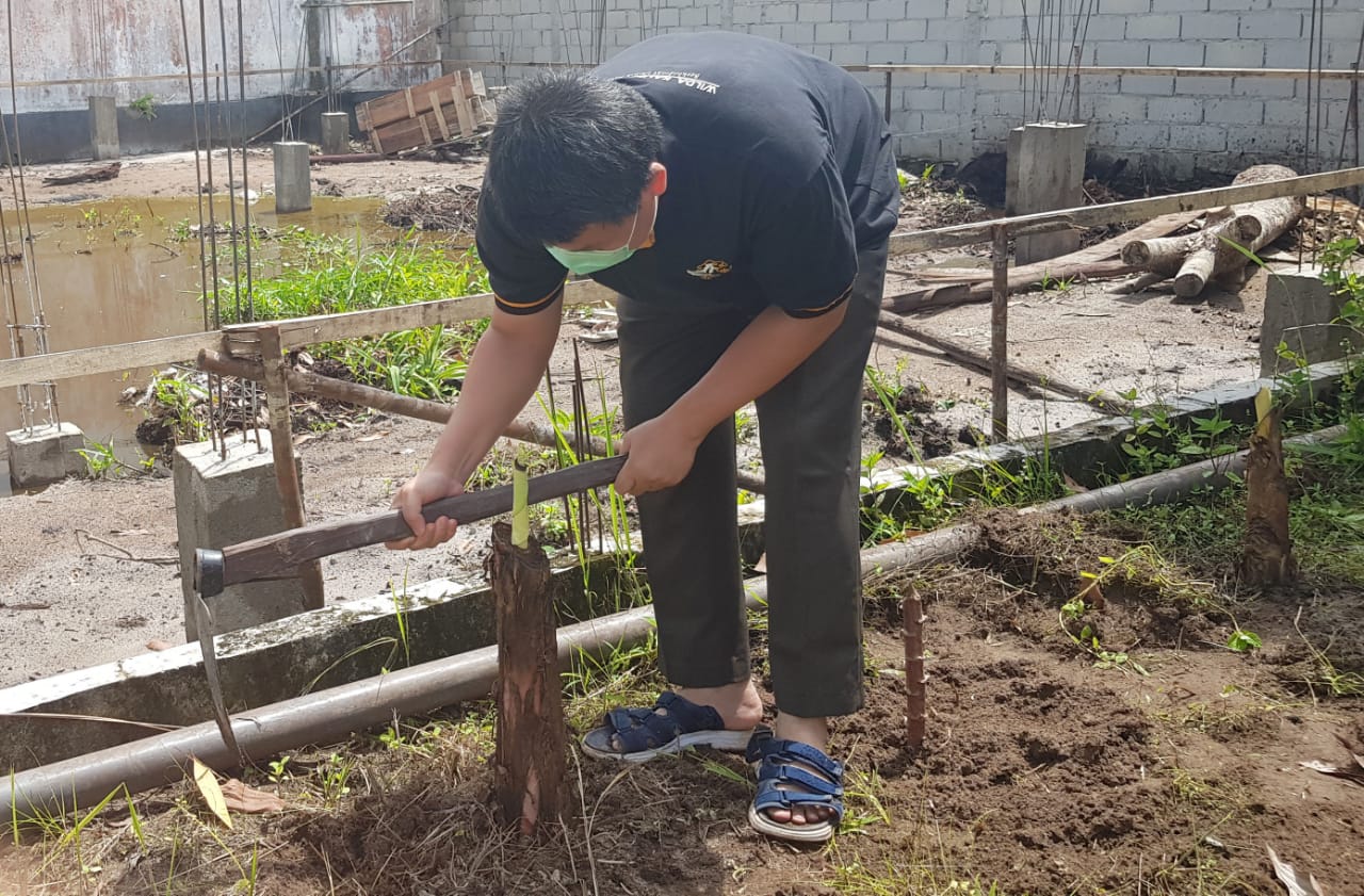 Bangun Ketahanan Pangan Keluarga di Tengah Wabah Covid-19