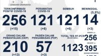 Update Data Covid-19, 256 Orang di Kalteng Positif Update Data Covid-19, 256 Orang di Kalteng Positif