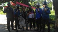 Ganggu Ketenangan Warga, Sarang Tawon Vespa Dibakar