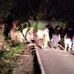 Sopir Mengantuk, Truk CPO Terjang Pepohonan