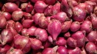 Harga Bawang Merah Naik Rp67 Ribu/Kg