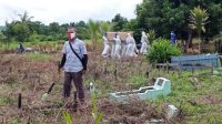 Jelang Berakhir PSBB, 34 Warga Kapuas Positif Covid-19