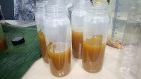 UMKM sebagai Penggerak Ekonomi di Masa Pandemi