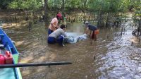 Mayat Pria Mengapung, Kaki dan Tangan Putus
