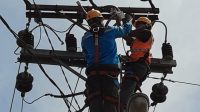 Jelang Idul Adha, PLN UP3 Palangka Raya Laksanakan GAES