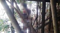 Jelang Pernikahan Anak, Kakek Malah Bunuh Diri