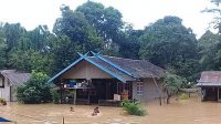 3.406 Warga Lamandau Terdampak Banjir 