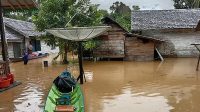 BPBD Lamandau Perkirakan Ratusan Rumah Warga Terdampak Banjir