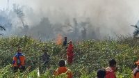 Tim Satgas Karhutla Berjibaku Padamkan Kebakaran Lahan di Pangkalan Bungur