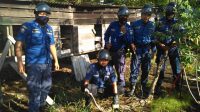 Hiii… Ular Sanca 4 Meter Ditangkap Usai Mangsa Ternak