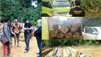 ILLEGAL LOGGING- Mabes Polri Amankan 15 Pekerja Bandsaw