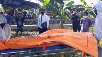 Hidup Sebatang Kara, Jaini Ditemukan jadi Mayat