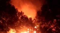 Sebuah Rumah Warga Desa Eka Bahurui Ludes Terbakar
