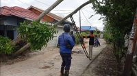 Angin Kencang, Sejumlah Pohon Tumbang Menimpa Kabel Listrik dan Telkom