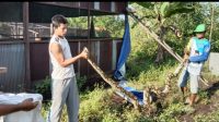 Sempat Menyerang Warga, Ular Sanca 5 Meter Ditangkap