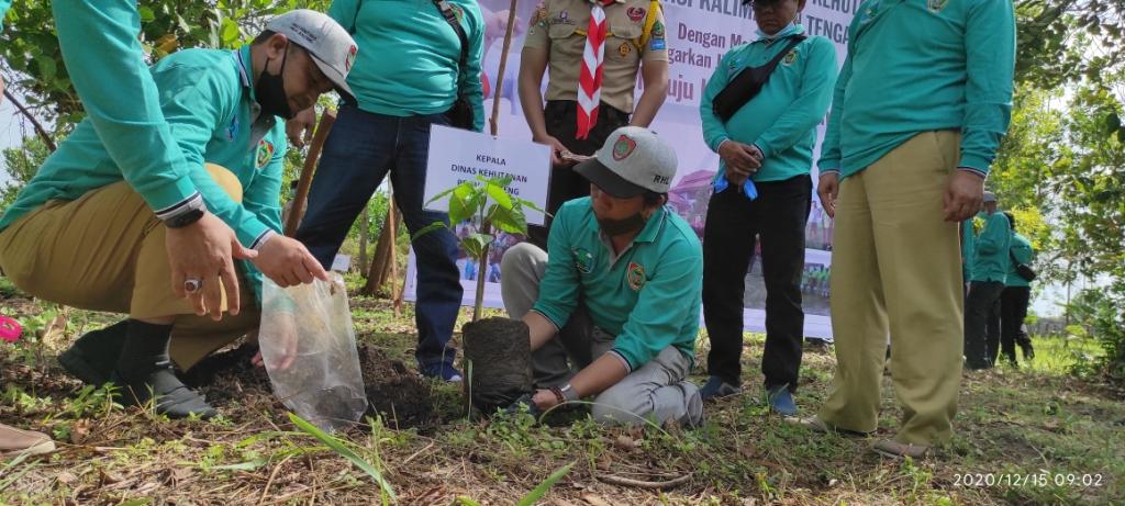 Dishut Kalteng Siapkan 9 Ha untuk Hutan Kota