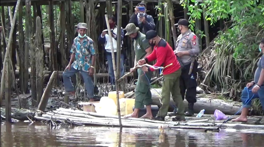 2020, Terjadi 11 Kali Serangan Buaya 