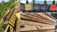 Polres Barut Amankan 4 Truk Muat Kayu Ilegal