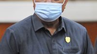 DORONG PEMANFAATAN SENGON- Komisi II Bakal Panggil PT NAP