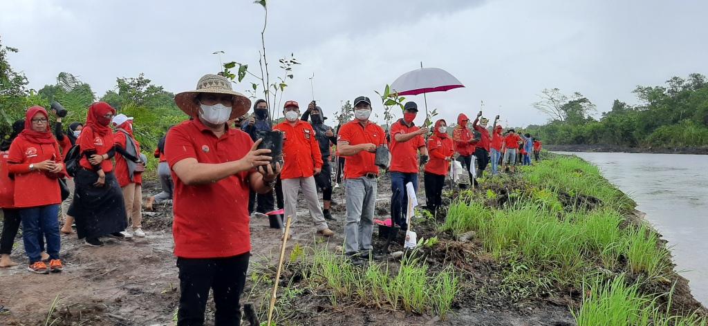 Incar Rekor MURI, DPC PDIP Kobar Tanam 48.000 Pohon