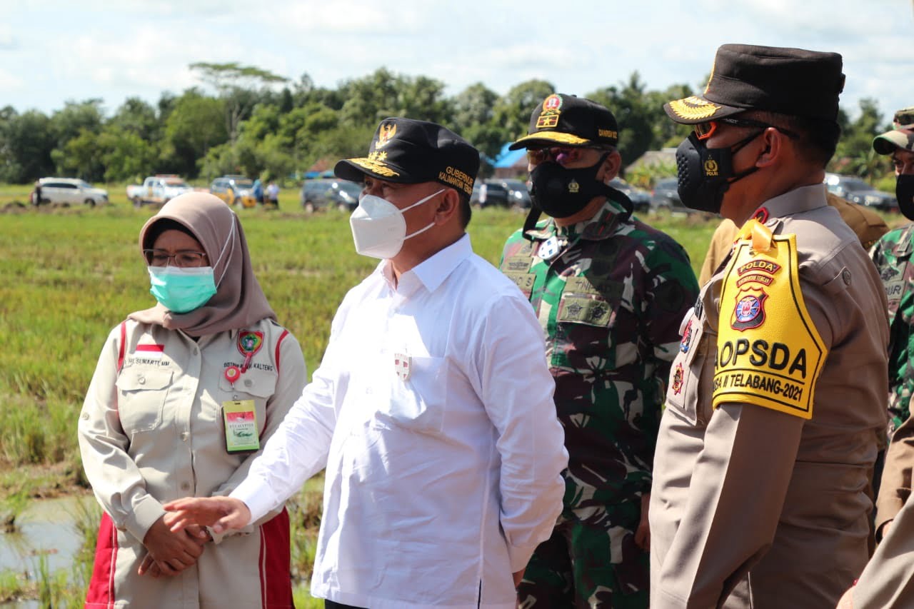 Food Estate, Gubernur  Ajak Masyarakat Tidak Pesimis
