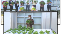 Manfaatkan Lahan Kosong, OJK Tanam Sayur Hidroponik
