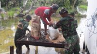 Satgas TMMD Bangun Jamban dan Sosialisasi Pola Hidup Sehat Satgas TMMD Bangun Jamban dan Sosialisasi Pola Hidup Sehat