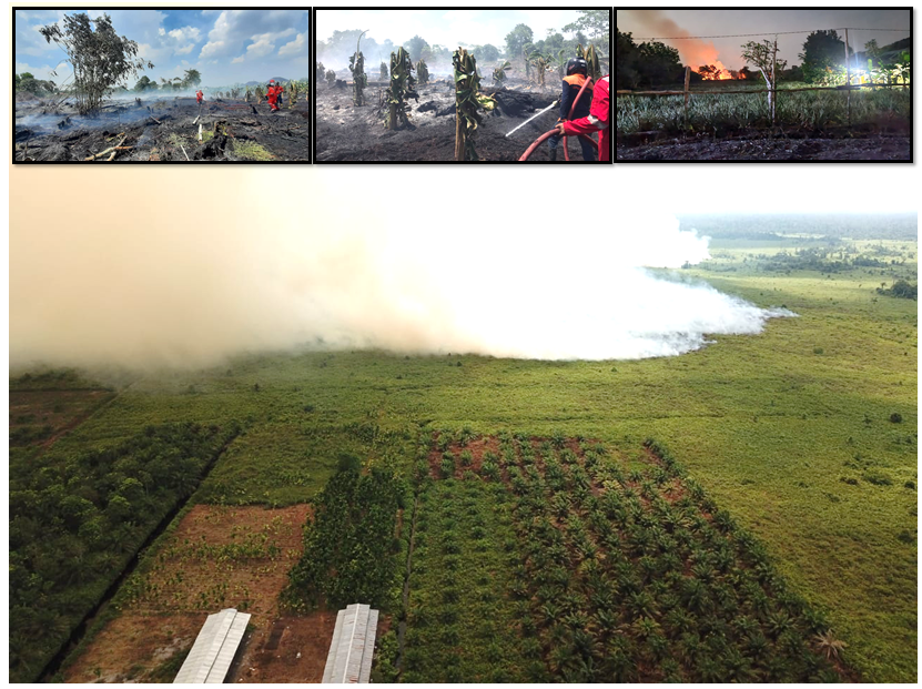 17 Hektare Lahan Terbakar di Kobar