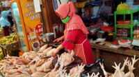 HARGA NAIK – Cabai Masak dan Mentah Dicampur