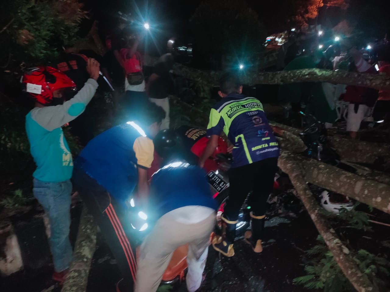 Tertimpa Pohon Tumbang, Ibu dan Anak Terluka Parah