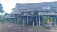 Pemkab Tegaskan Tidak Merombak Total Betang Tumbang Gagu Pemkab Tegaskan Tidak Merombak Total Betang Tumbang Gagu