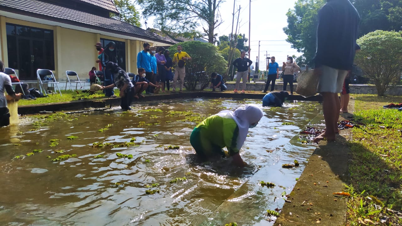 MANYAUK LAUK- Budaya Menangkap Ikan Tradisional Khas Kalteng