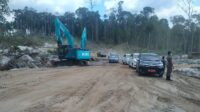 Dewan Pertanyakan Status Kepemilikan Lahan Food Estate Singkong 