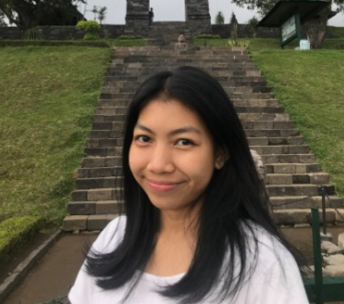 TANGANI NYAMUK SEBAGAI VEKTOR PENYAKIT SEBELUM MEWABAH