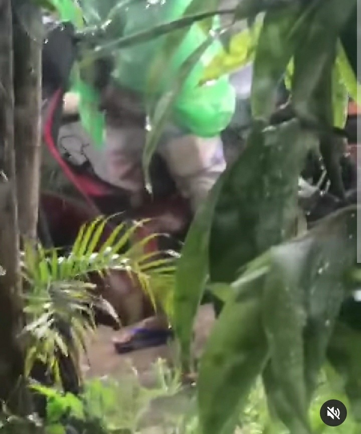 Seorang Pria Terekam Onani di Pinggir Jalan