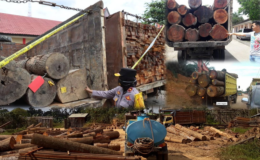 ILLEGAL LOGGING-Masalah Kehutanan Tanggung Jawab Siapa?  