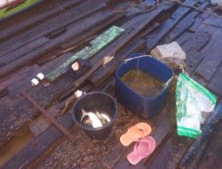 Nenek Hilang saat Mancing di Sungai Nenek Hilang saat Mancing di Sungai