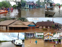 PETAKA BANJIR KALTENG PETAKA BANJIR KALTENG