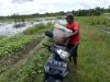 Petani Sayur di Kobar Alami Kerugian karena Banjir