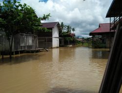 Dua Desa wilayah Kecamatan Kapuas Tengah Mulai Banjir Dua Desa wilayah Kecamatan Kapuas Tengah Mulai Banjir